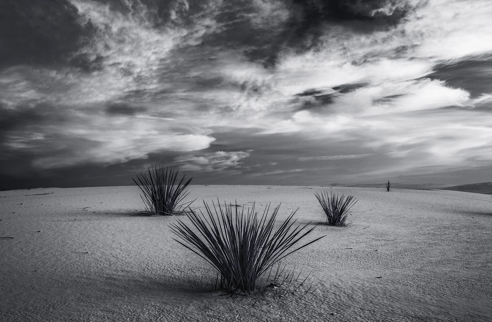 Desert Sentinels