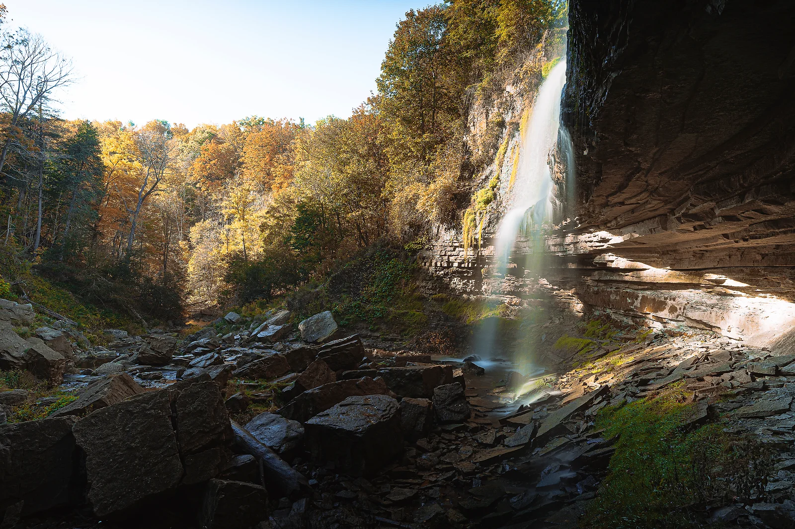 Webster Falls