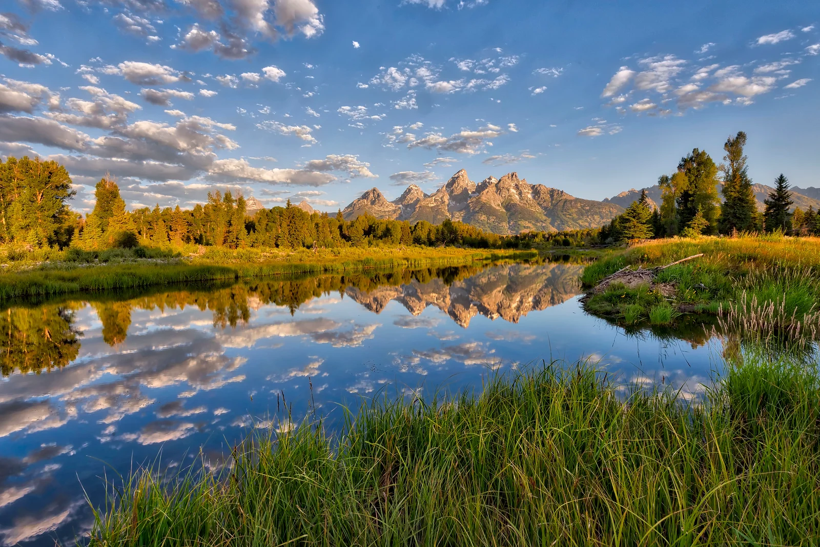 Morning Reflections
