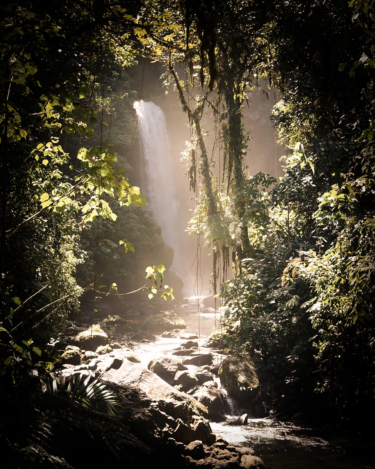 Waterfall Wonderland