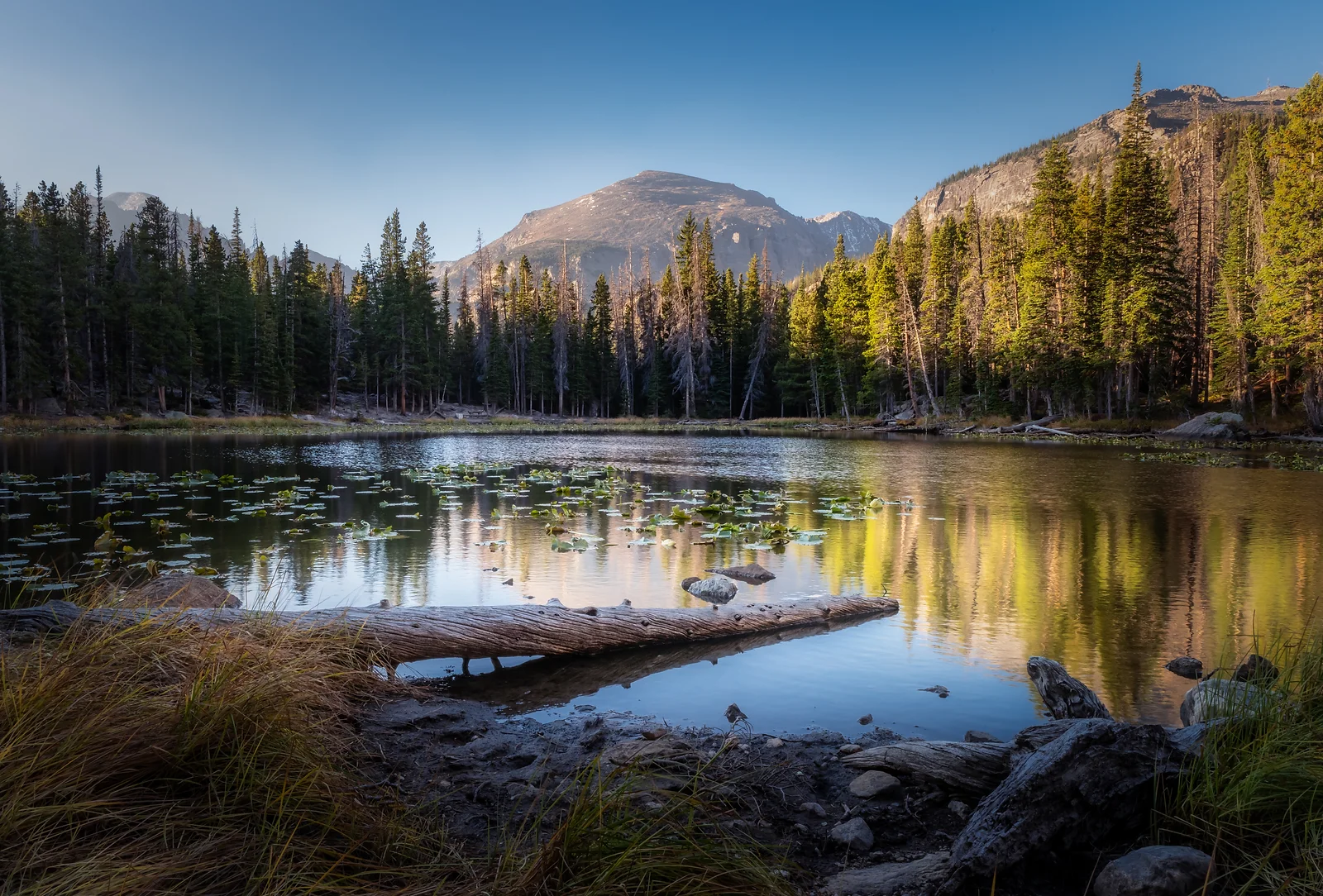 RMNP