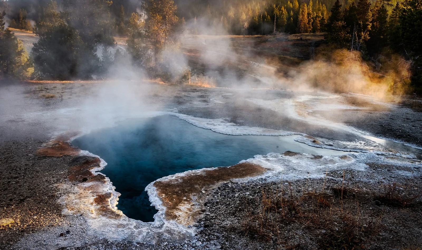 Steamy Mornings